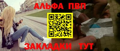 кокс Гатчина