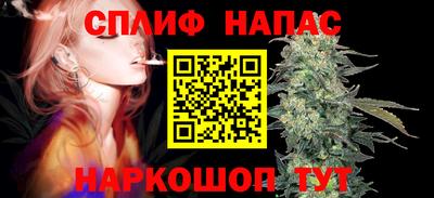 кокс Гатчина