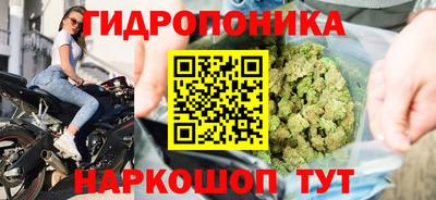 кокс Гатчина